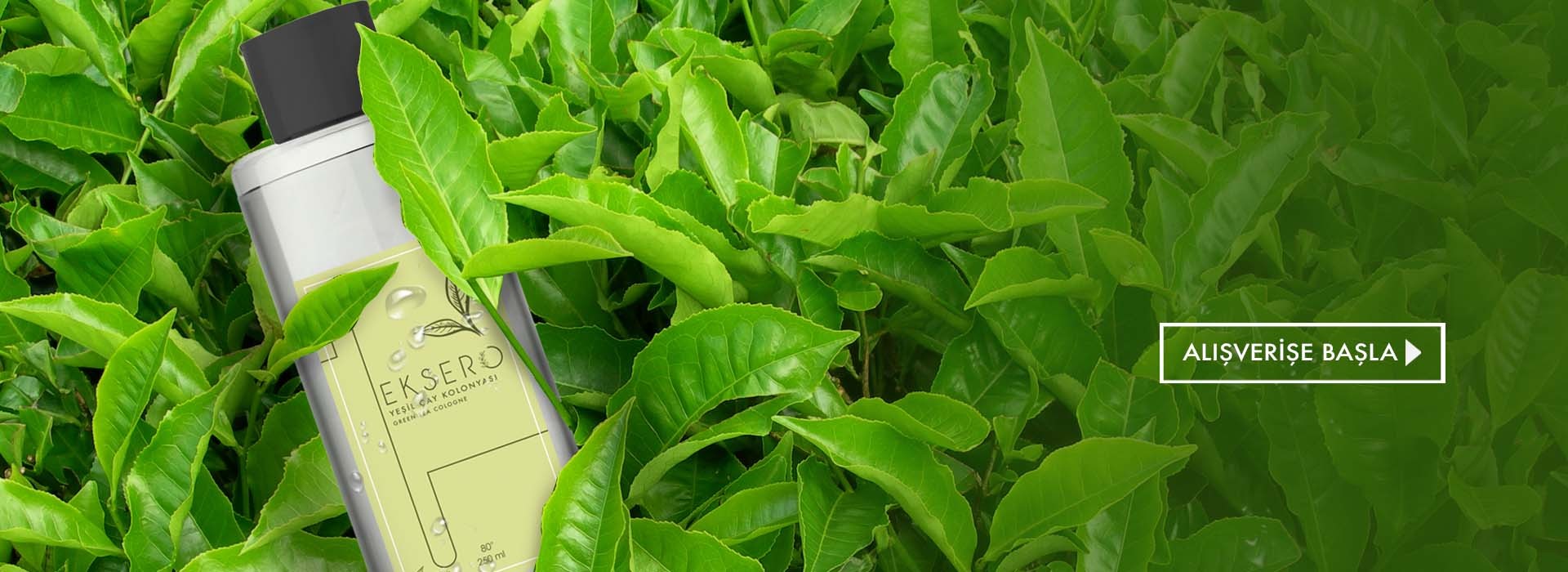 Yeşil Çay Kolonyası